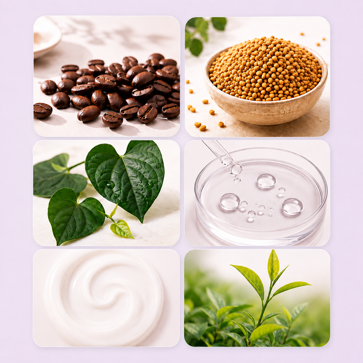 Powered by Scalp-Loving Ingredients